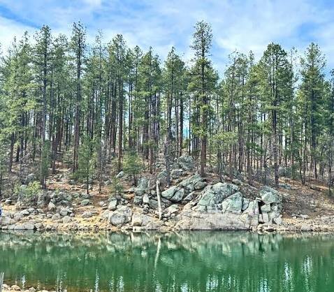 Tall ponderosa pines above a lake and granite boulders